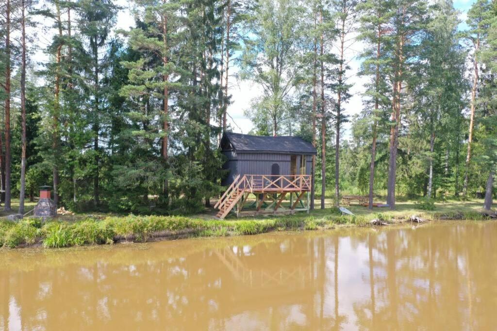 Dragon House In The Tree! Jacuzzi, Sauna ,Cinema,Heated Lici (Talsi) Exterior foto