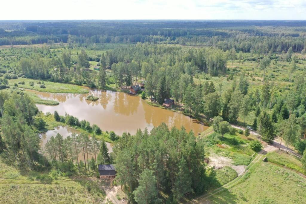 Dragon House In The Tree! Jacuzzi, Sauna ,Cinema,Heated Lici (Talsi) Exterior foto
