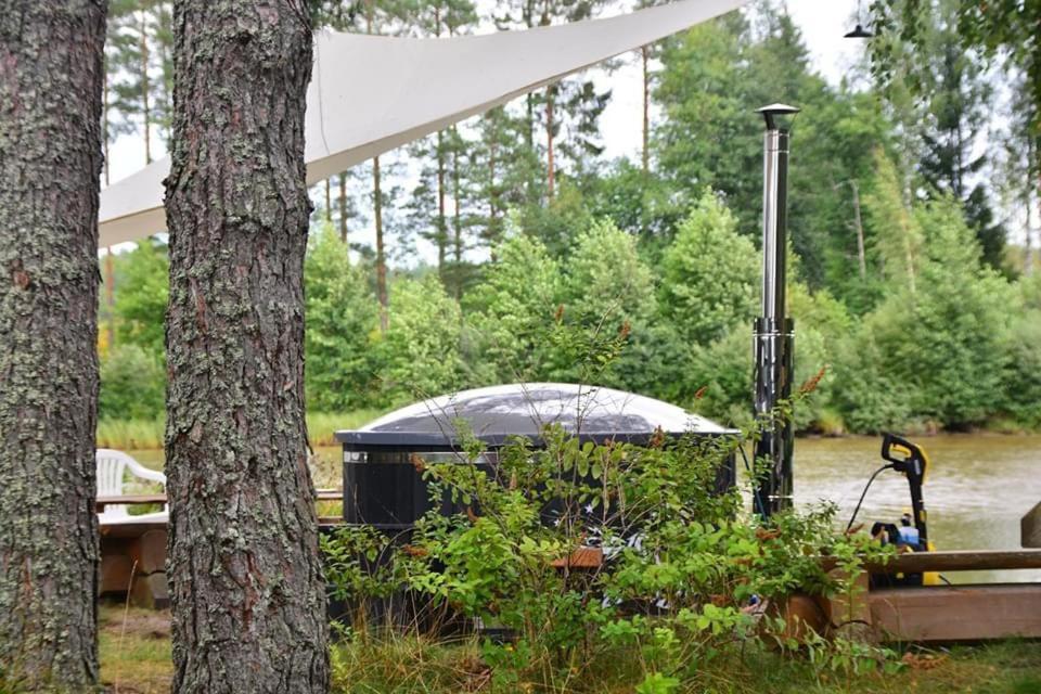 Dragon House In The Tree! Jacuzzi, Sauna ,Cinema,Heated Lici (Talsi) Exterior foto