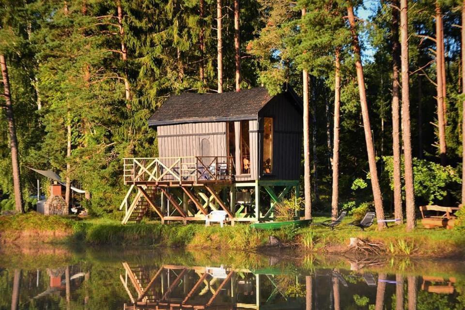 Dragon House In The Tree! Jacuzzi, Sauna ,Cinema,Heated Lici (Talsi) Exterior foto