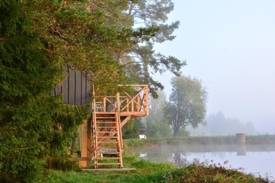 Dragon House In The Tree! Jacuzzi, Sauna ,Cinema,Heated Lici (Talsi) Exterior foto