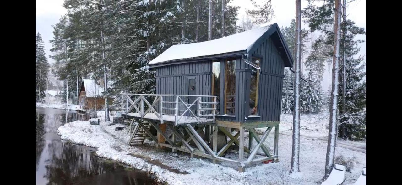 Dragon House In The Tree! Jacuzzi, Sauna ,Cinema,Heated Lici (Talsi) Exterior foto