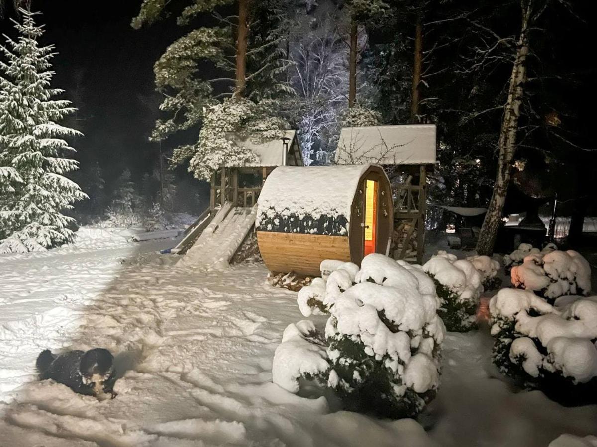 Dragon House In The Tree! Jacuzzi, Sauna ,Cinema,Heated Lici (Talsi) Exterior foto