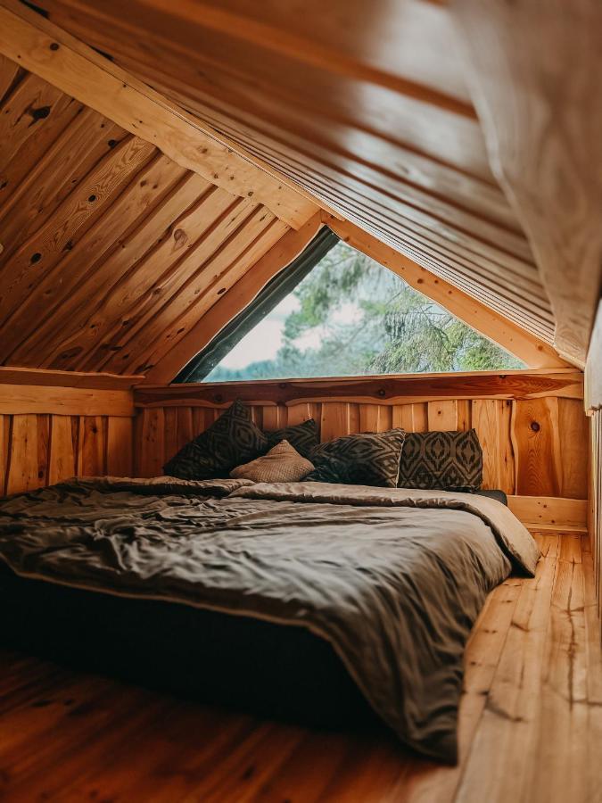Dragon House In The Tree! Jacuzzi, Sauna ,Cinema,Heated Lici (Talsi) Exterior foto