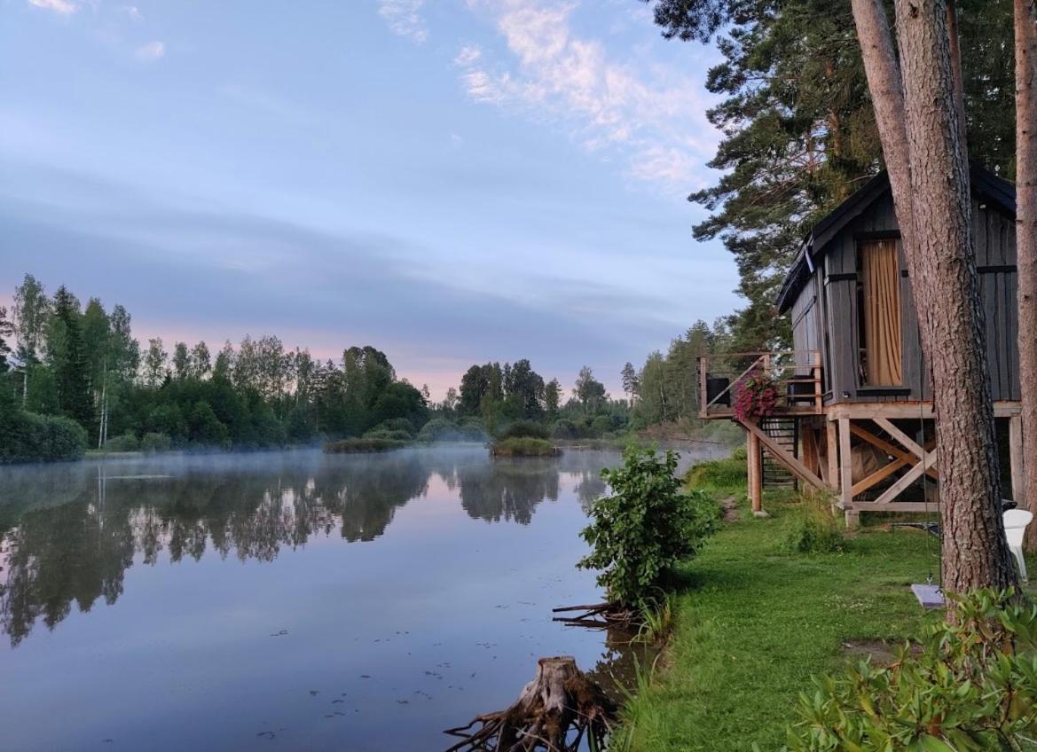 Dragon House In The Tree! Jacuzzi, Sauna ,Cinema,Heated Lici (Talsi) Exterior foto