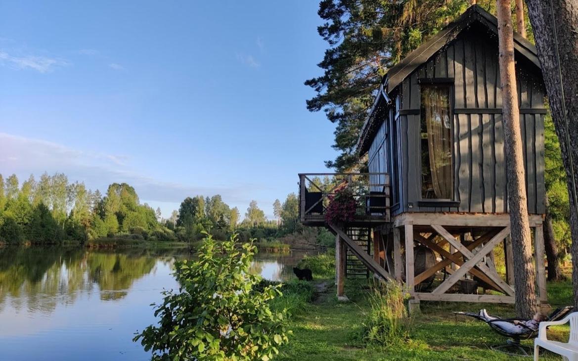 Dragon House In The Tree! Jacuzzi, Sauna ,Cinema,Heated Lici (Talsi) Exterior foto